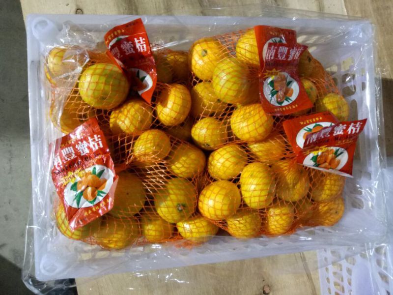 Good Quality of Fresh Sweet Baby Mandarin