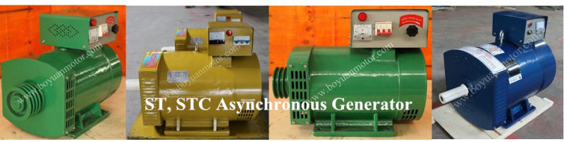 St Single-Phase Stc Three-Phase AC Brush Synchronous Generator