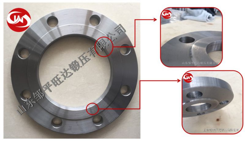 GOST 12820-80 Carbon Steel Pn 6 Flanges for Petrochemical & Gas Industry