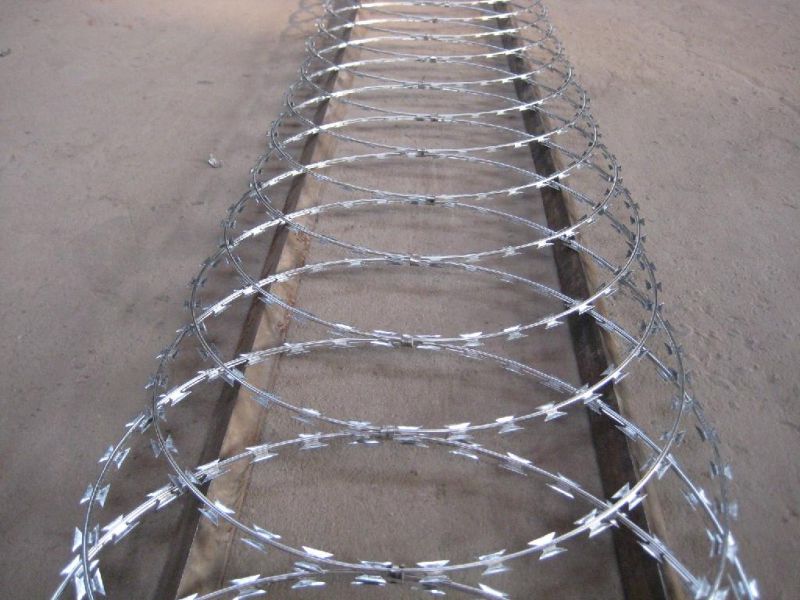 Concertina Razor Wire/Galvanized Concertina Razor Wire/Hight Security Razor Barbed Wire