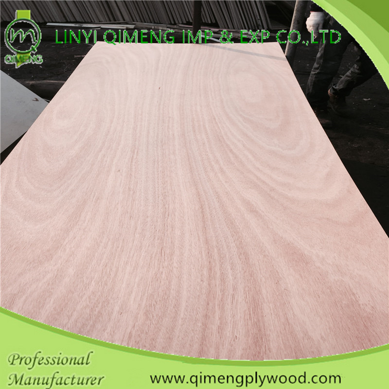 Linyi Competitive Price Okoume Door Skin Plywood with Best Quality