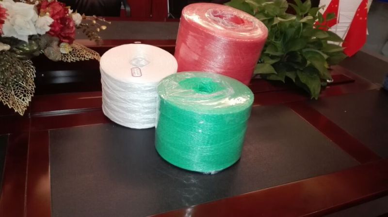 PP Packing Twine dengan Spesifikasi Berbeda