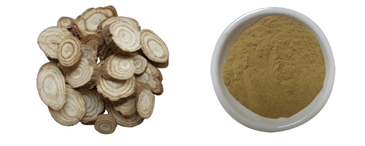 Kudzu Wurzelextrakt Kudzu Root Extract