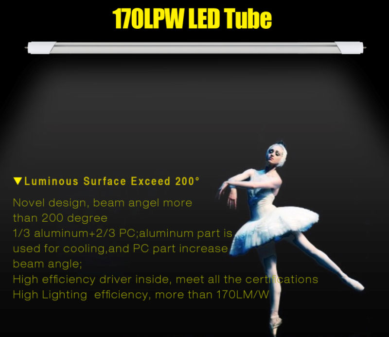 New Design Uniform Light 170lm/W LED T8 Tube 600 with UL Dlc Ce RoHS