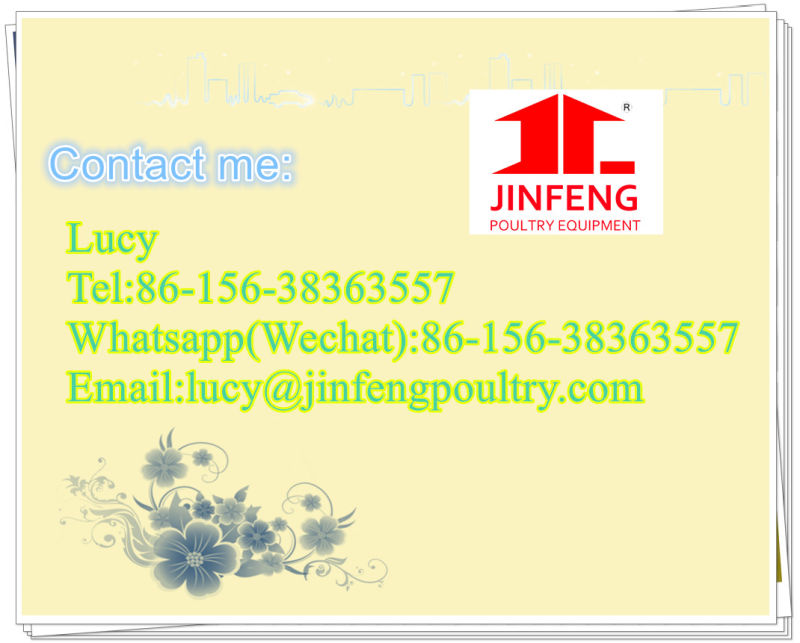 High Quality Poultry Equipment Egg Laying Chicken Cage on Sell