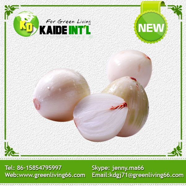 chinese fresh white Onion,Dehydrated White Onion with High Quality