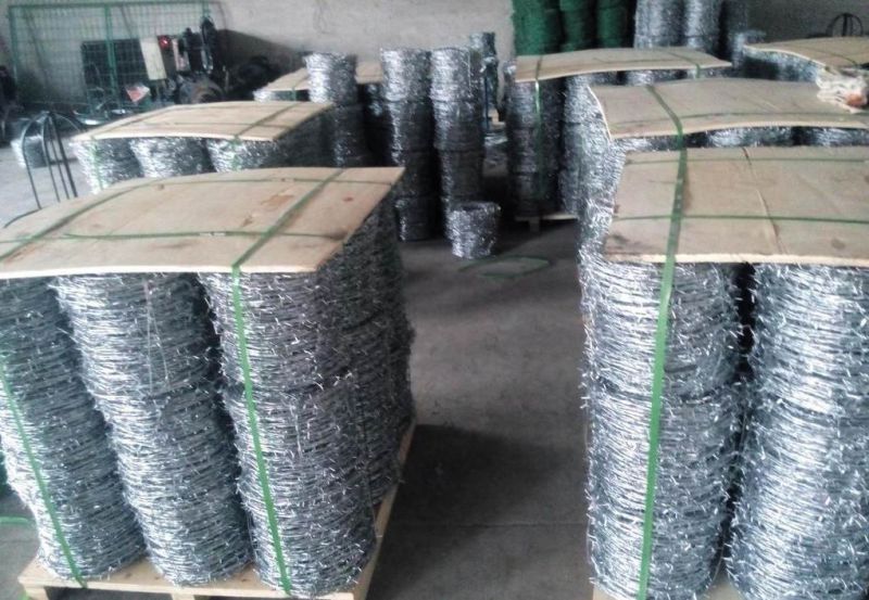 Hot-Dipped Galvanized Razor Barbed Wire for Fence