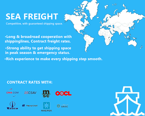 China Professional Ocean Freight Service to Bremerhaven