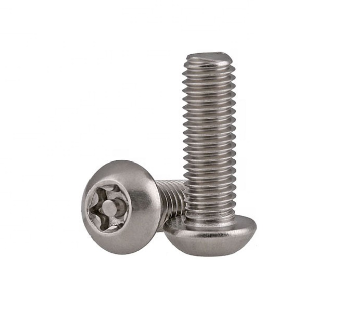 Stainless Steel Security Screw