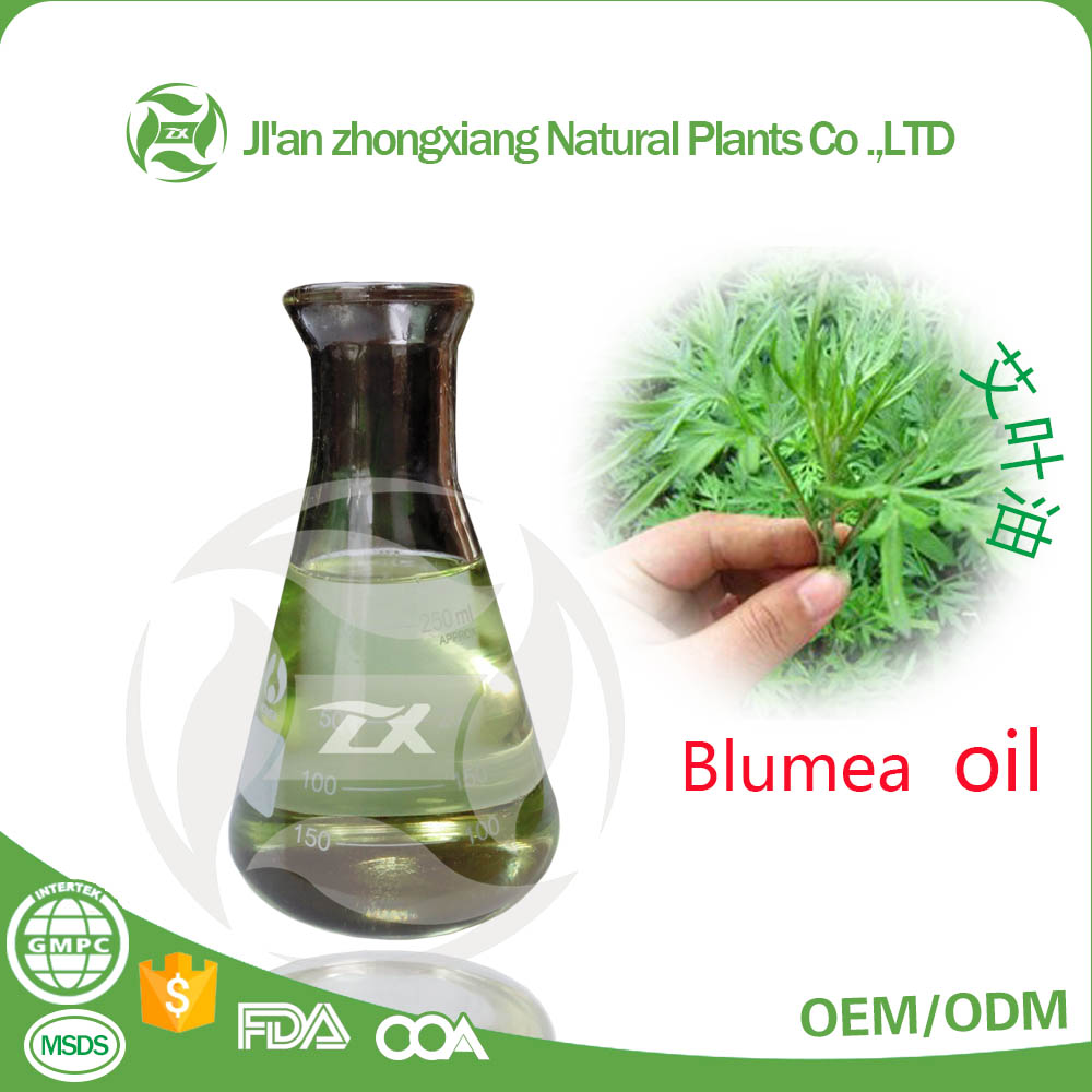 blumea oil