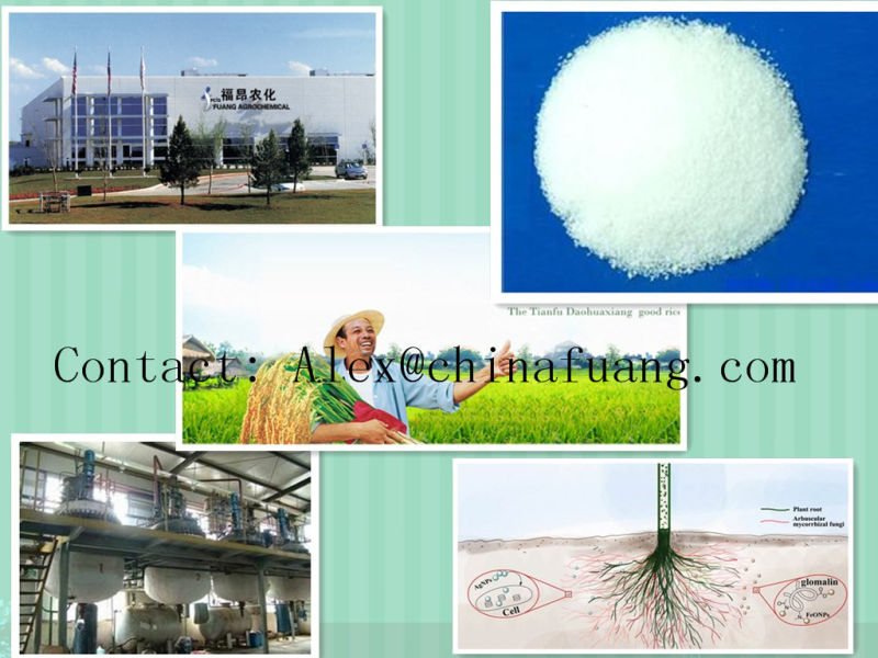 Agricultural Chemicals Bactericide Bactericide Agrochemical Fungicide 32809-16-8 Procymidone