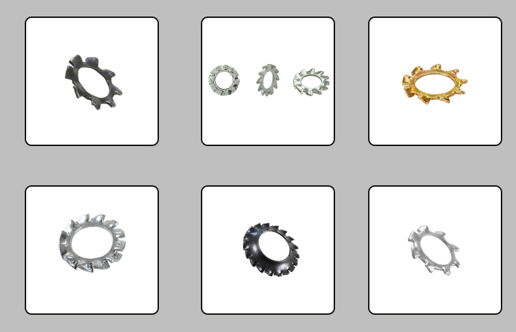 Stainless steel External teeth serrated lock washers