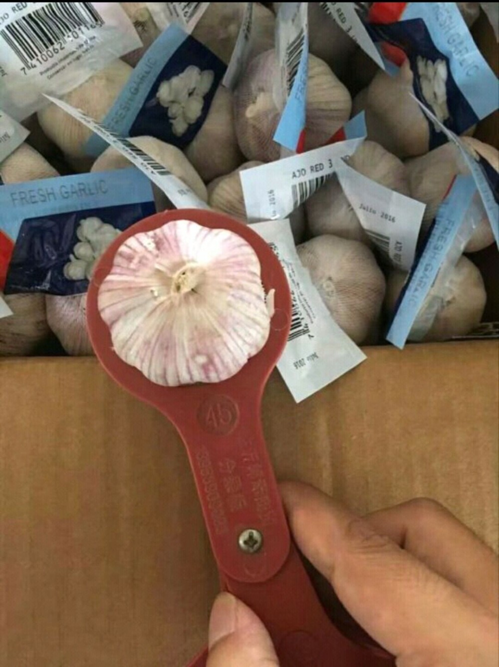 New crop fresh natural normal white garlic New crop fresh natural normal white garlic