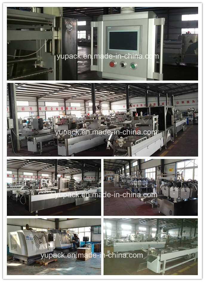 Dzl-520/320/420 Line Automatic Thermoforming Packing Machines