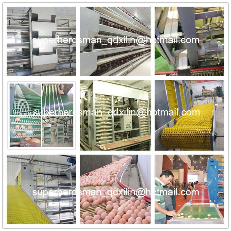 High Quality Chicken Cage Poultry Equipment for Broiler