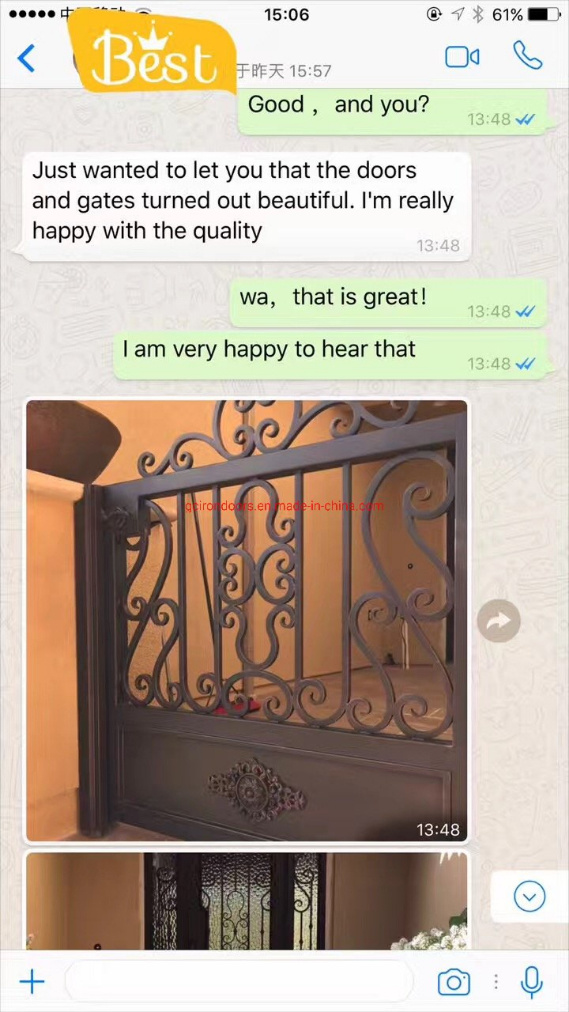 Portes en fer simples et élégantes