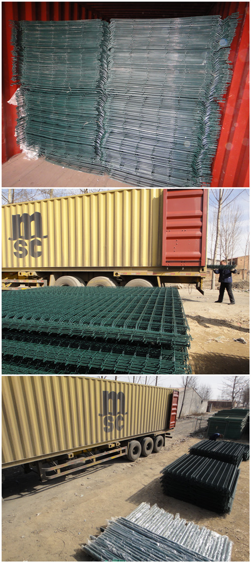 Reliable China Wholesale Metal Steel Wire Mesh Fence (WWMF)