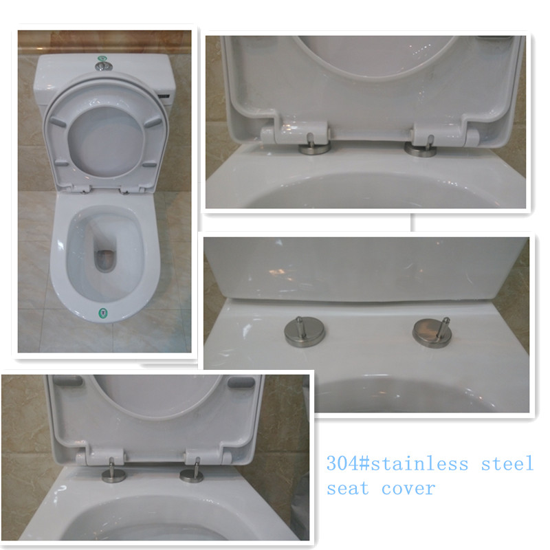 Watermark Washdown Two-Piece Toilet with S-Trap150mm/P-Trap180mm (A-6010)