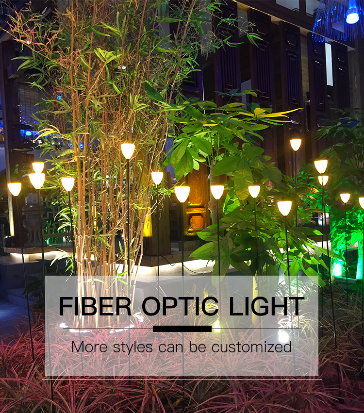 Fiber optic light