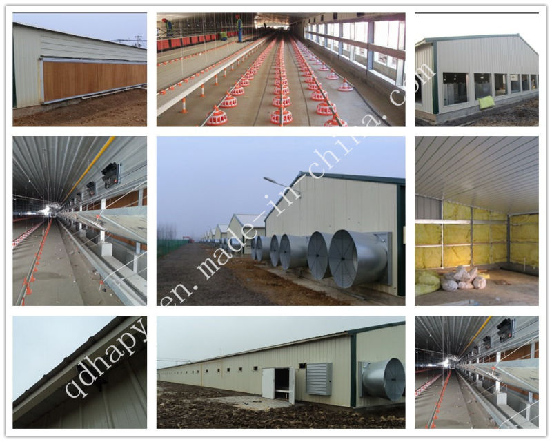 Prefabricated Chicken House with Poultry Equipment