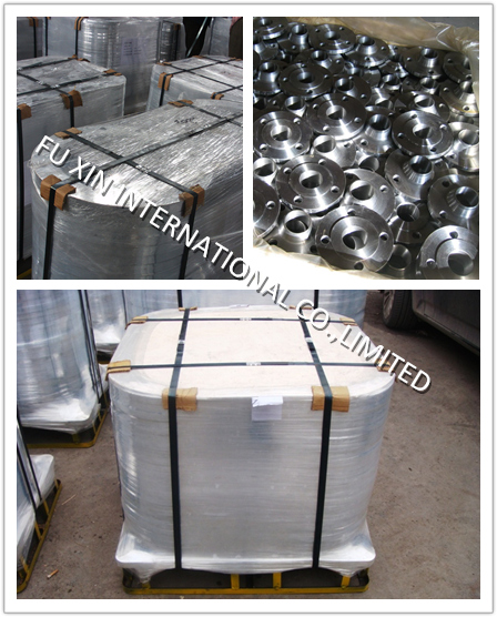 Stainless Steel S. S. 304/304L Flange