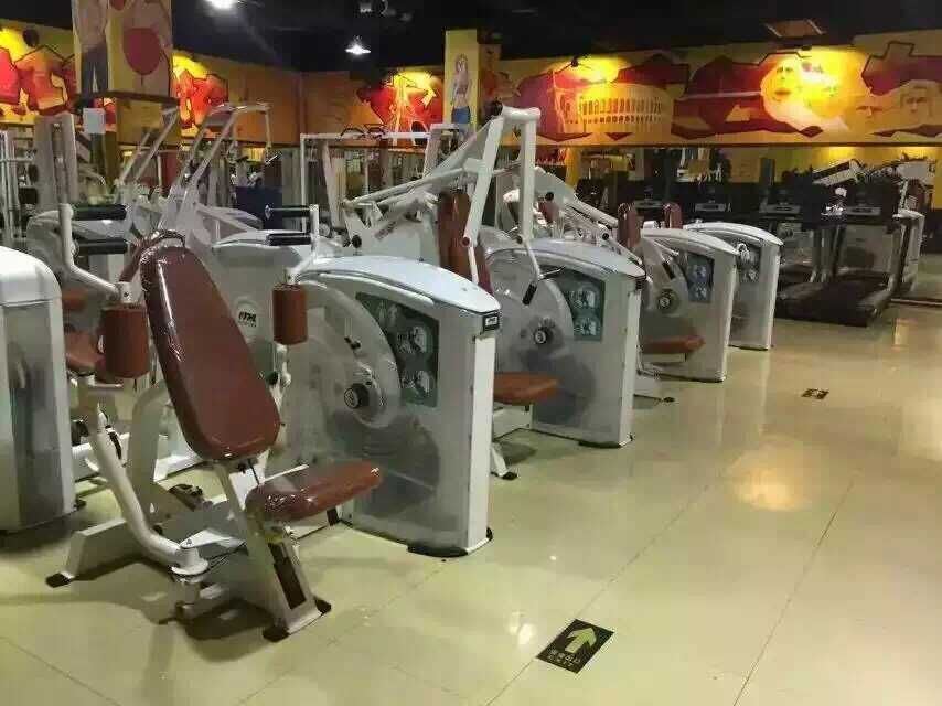 Tz-5050 Seated Calf/Gym Equipment for Sale
