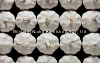 2015 New Crop Chinese Fresh Garlic
