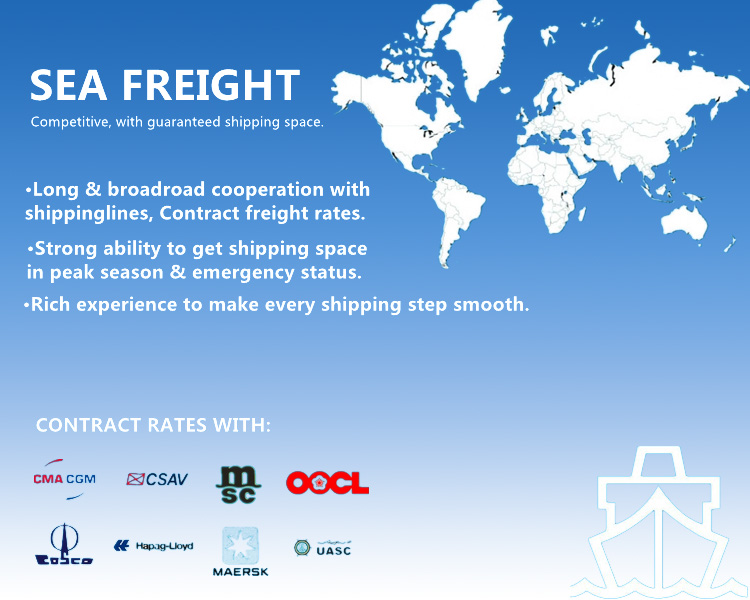 Professional Air Freight/Container Sea Freight Service From China to France