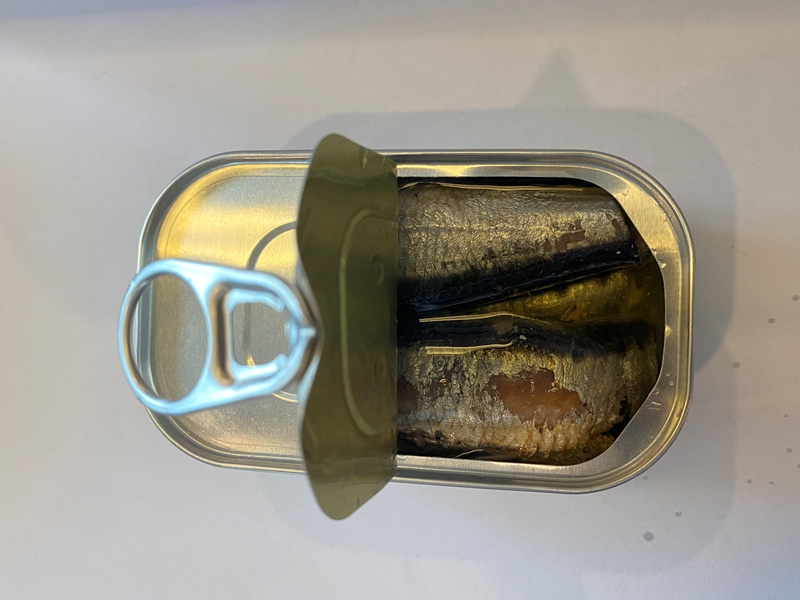 sardine canned