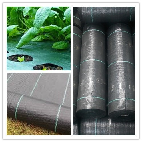 100gsm 1.5m×100m PP Weed Mat