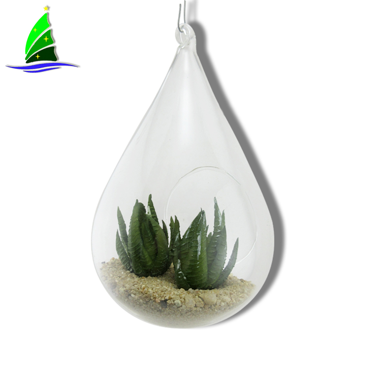 Air Plant Flowers Крытый Открытый Air Plant Flowers Indoor Outdoor