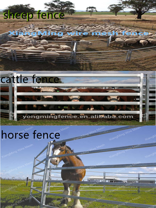 Used Cattle Panels (with ISO9001 & SGS)