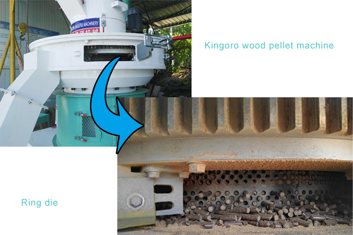 Automatic Lubrication 6-12mm Size Wood Pellet Machine