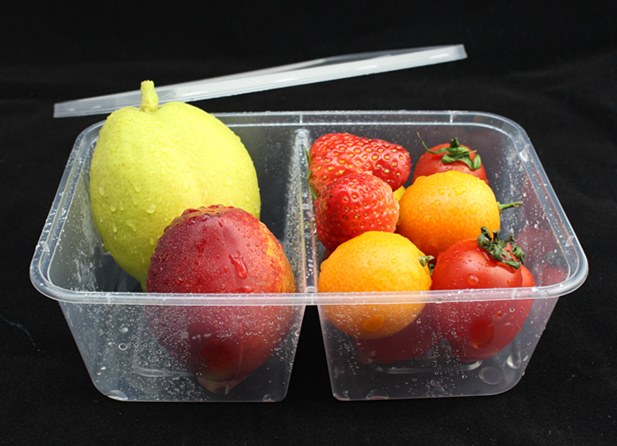 Double-Grid Plastic Microwave Food Container