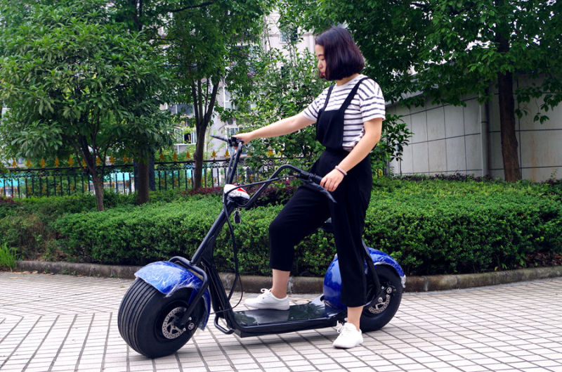 China Supplier 1000W Electric Scooter with Bluetooth (JY-ES005)