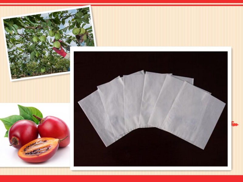 33X43cm 36g White Micropore Paper Good Breathability Grape Cover Paper Bag Popular Used in Peru, Chile Market