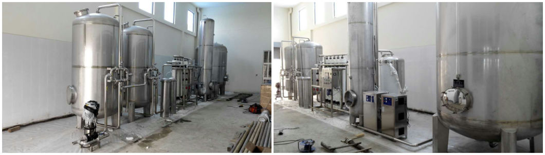 2000L/H Fully Automatic Mineral Water Plant