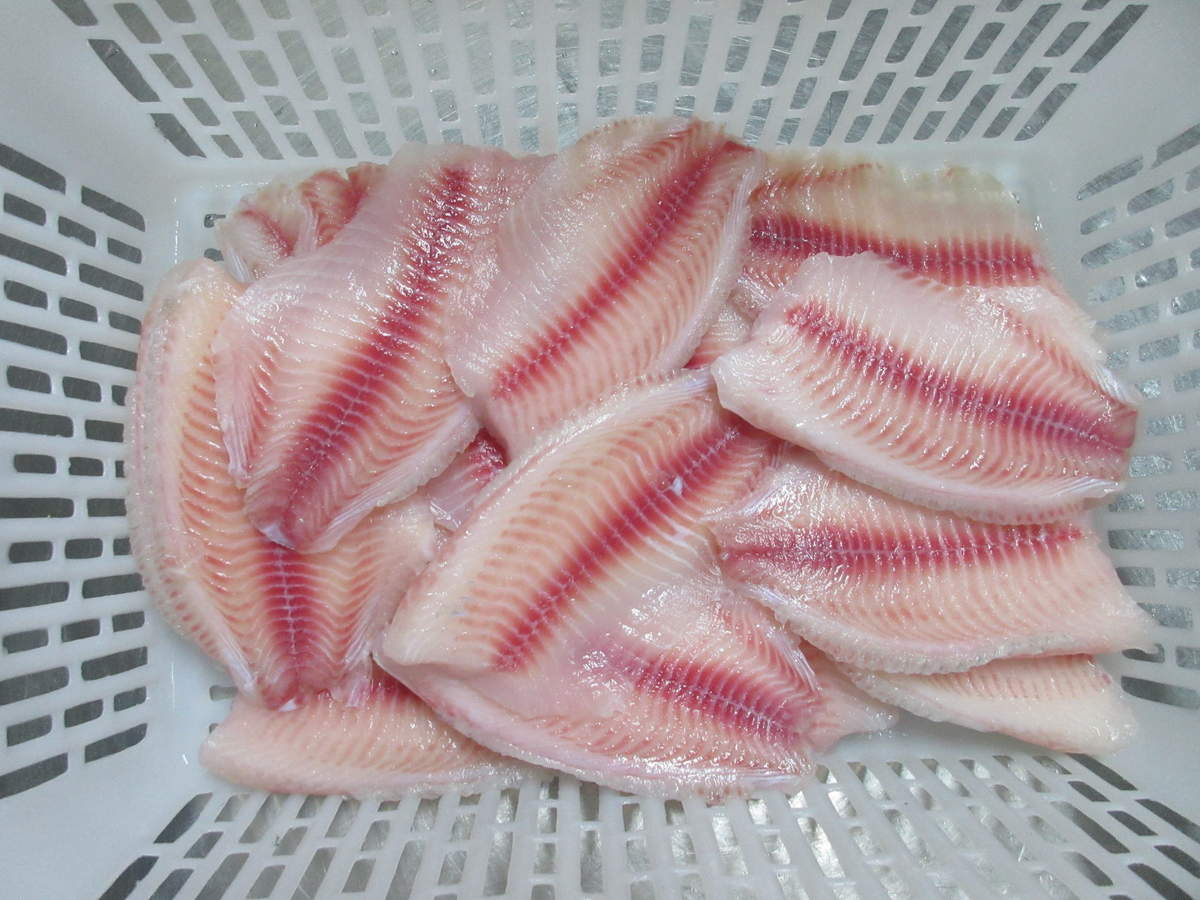 tilapia fillet