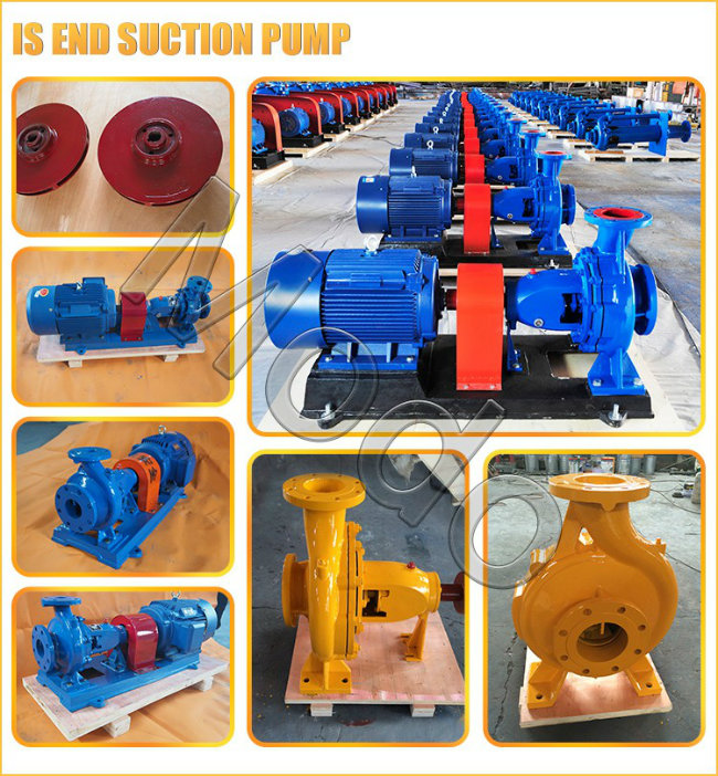 Single Stage End Suction Water Pump for Aquaculture