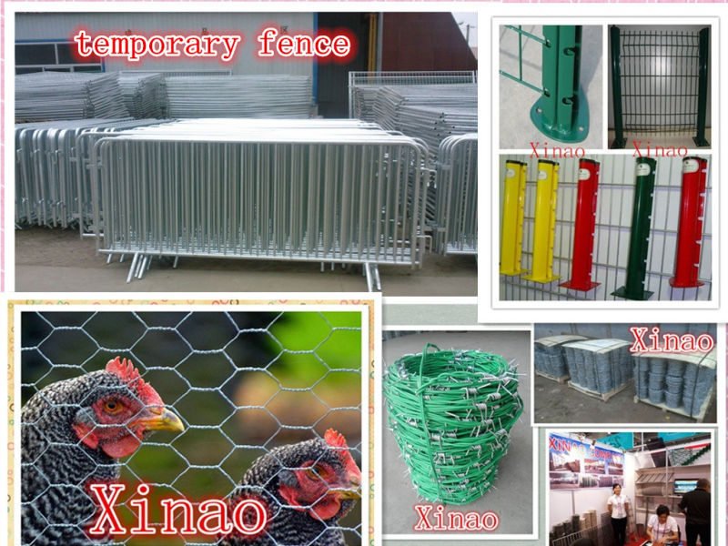 Hot Dipped Galvanized Frame Fence/ Welded Wire Mesh Fence