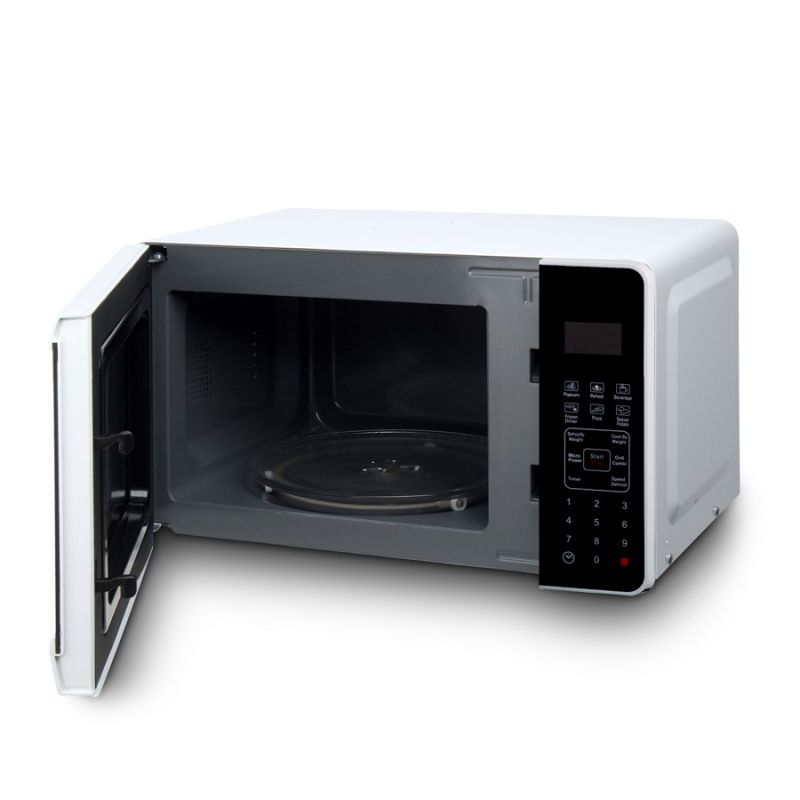 Multi-Funtional Commercial Stand Microwave Oven