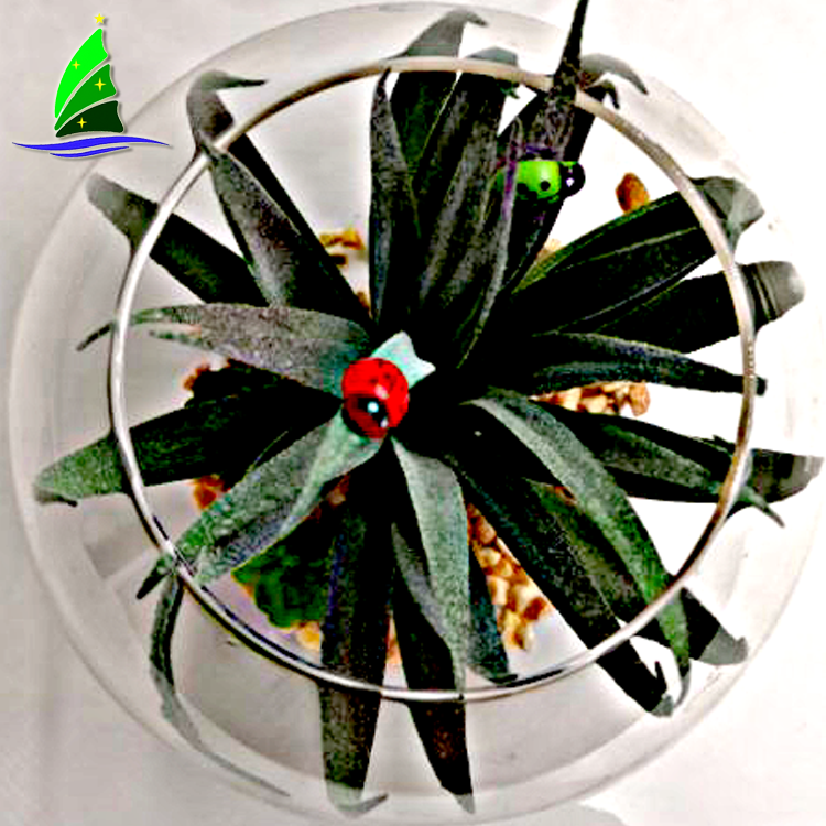 Florero de vidrio soplado a mano Hand blown Glass vase