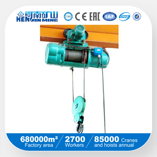 China Good Price Electric Wire Rope Remote Hoist with SGS ISO Ce Certificate