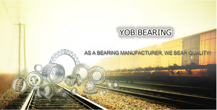 Na Series High Precision Assembly Machine Bearing Needle Roller Bearings Na4902