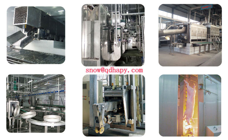 Slaughering Machine in Poultry House with Full Set Automatic Equipment and Prefab House Construction