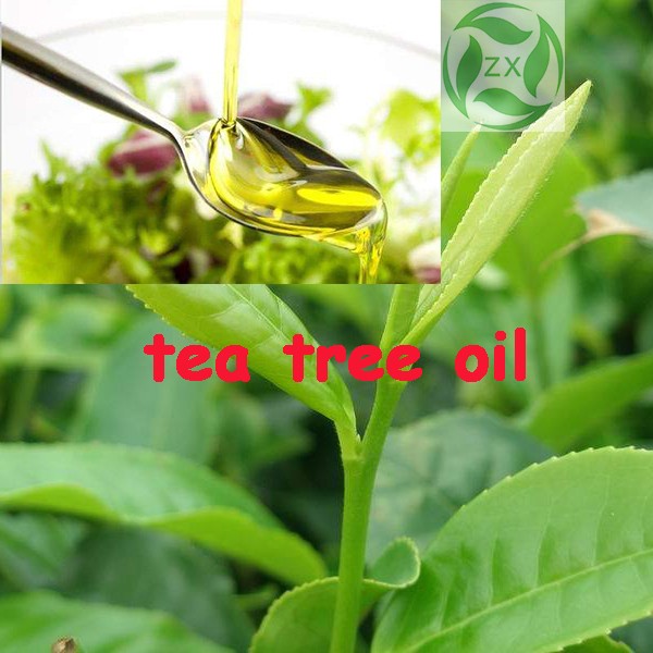 tea tree oil