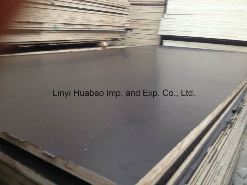 21mm Plywood/Shuttering Plywood/Concrete Formwork Boards