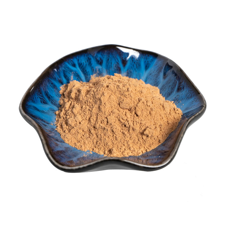 Hawthorn Extract Hawthorn Extract