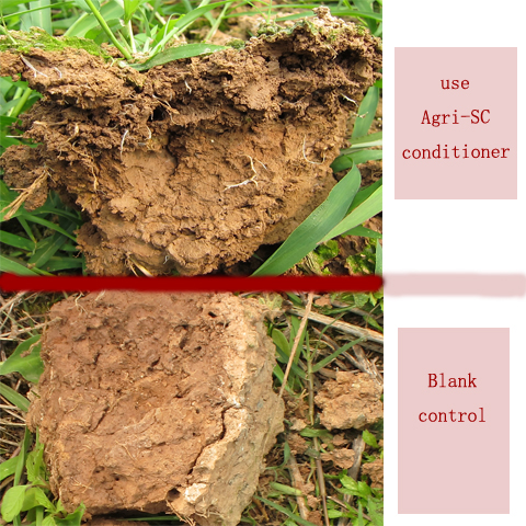 Agri-Sc Soil Conditioner for Soil Improvement and Root Growth Well and Yield Increased