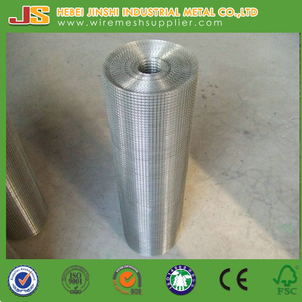1/4 Inch Galvanized Welded Wire Mesh Roll for Us Market